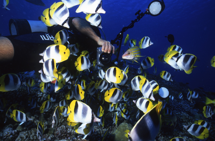 DIVING;divers;reefs;colorful;tahiti;F674 0322A 12