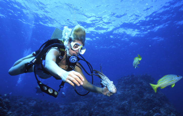 DIVING;UNDERWATER;HAWAII;F715_Factor 05A