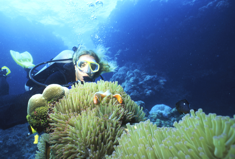 DIVING;divers;reefs;colorful;fiji;F677 07H 15