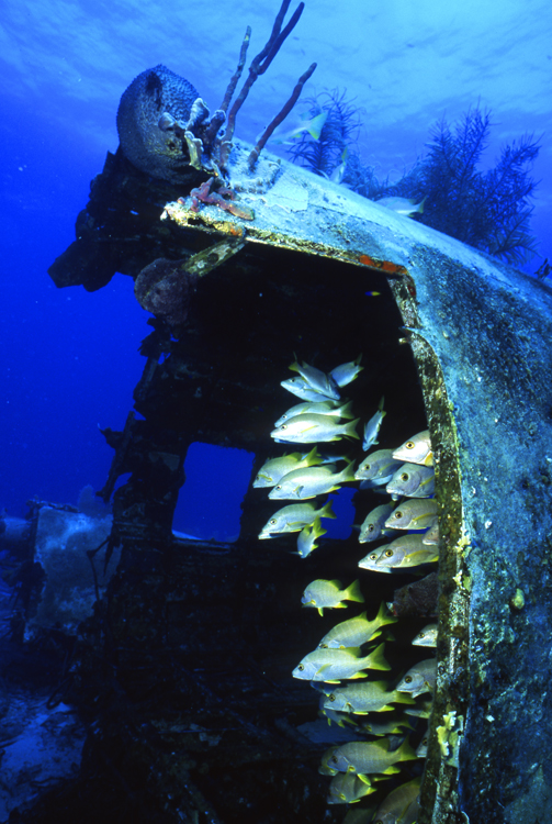 DIVING;UNDERWATER;reefs;F1106_FACTOR_70-5 SK142;shipwreck